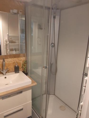 une salle de bain avec douche et lavabo dans l'établissement Appartement avec terrasse centre, à Bordeaux