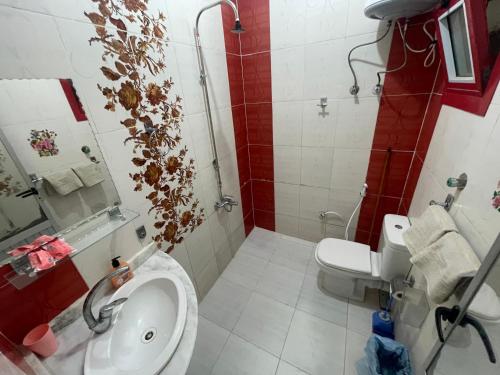 a bathroom with a white toilet and a sink at Marvel apartment in Quseir