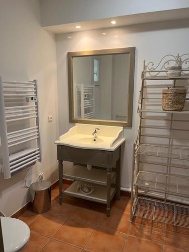 une salle de bain avec un lavabo et un miroir dans l'établissement Appartement de charme sur le domaine de Pont Royal à Mallemort, en rez-de-jardin avec terrasse & piscine et vue sur le Golf, à Mallemort