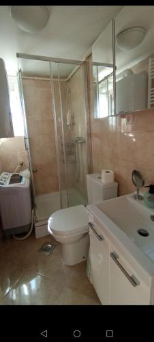 Ένα μπάνιο στο Apartman Pantovcak Green terace