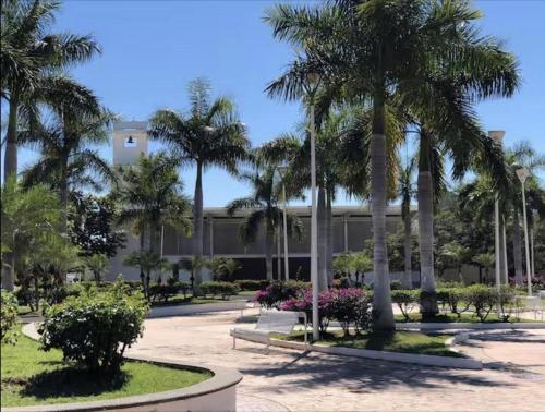 a courtyard with palm trees and a building at CASA DORADO B con AC y SMART TV Planta Baja in Mezcales