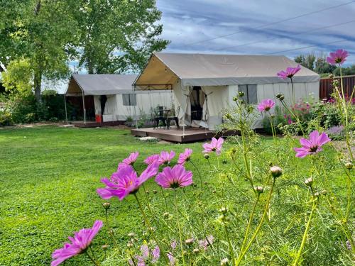 Κήπος έξω από το Daisy Glamping Tent at Zenzen Gardens