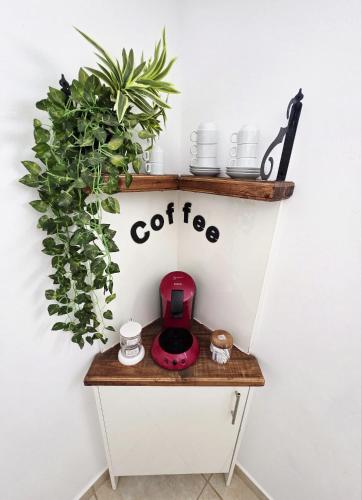 a shelf with a coffee maker and plants on it at Villa Narok in Tarajalejo