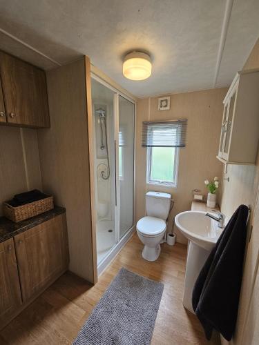 a bathroom with a white toilet and a sink at Chalet De VeerWater in Recreatiepark De Veerstal in Lathum
