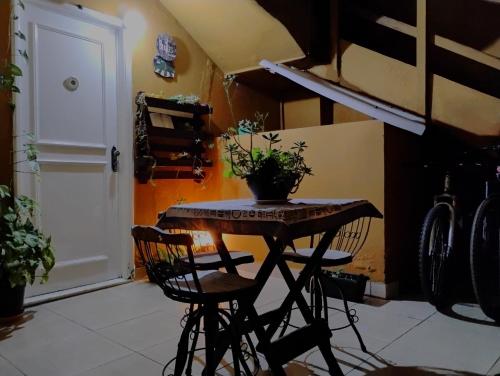 a table in a room with a potted plant on it at Apartamento Mobiliado Paty do Alferes in Paty do Alferes