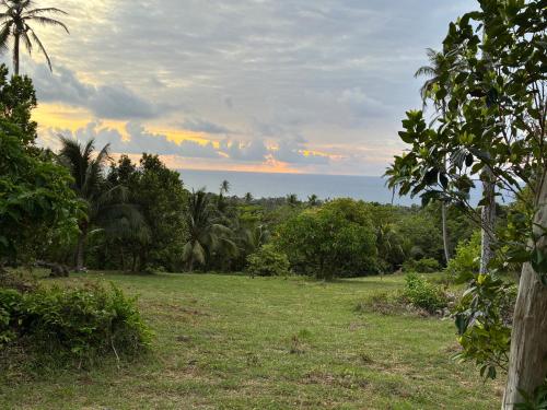 a field of grass with the ocean in the background at Star Apple Inn in San Andrés
