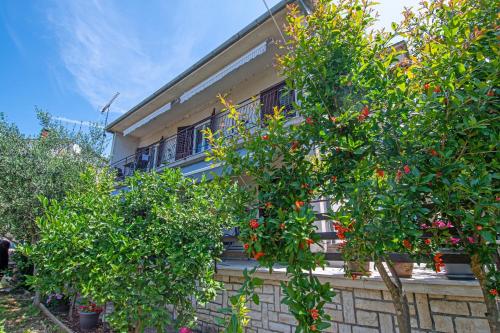 Apartments with parking spaces Pula - 23336