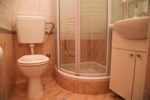 スタリー・グラードにあるApartments with parking spaces Dol, Hvar - 24122のシャワー、トイレ、洗面台を備えたバスルーム