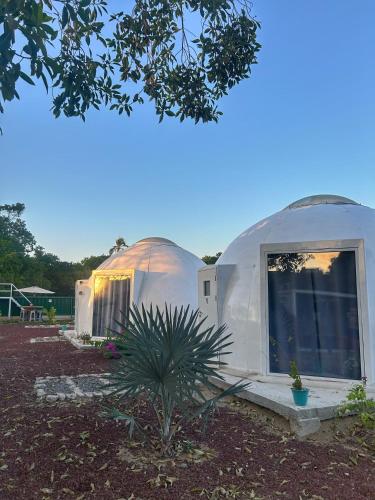 a yurt with a window and a plant in a yard at Iglú Simbad con vista al cielo in Barra de Navidad