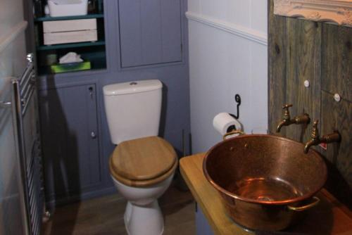 a bathroom with a toilet and a wooden sink at Top Farm Shepherds Lodge in Marsham