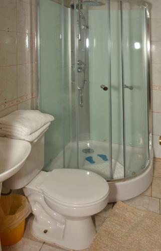 a bathroom with a toilet and a glass shower at Cabañas Bosque Sur in Puerto Varas