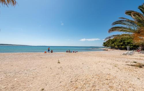 a group of people on a beach with the ocean at Nice Apartment In Povljana With Wifi in Povljana