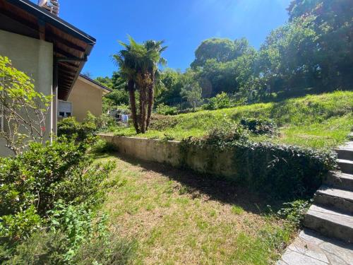 a palm tree on a hill next to a house at Villa la Palma in Gemonio