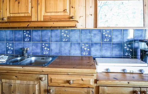 Kuchyň nebo kuchyňský kout v ubytování Awesome Home In Vøringsfoss With Sauna