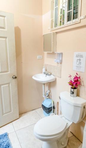 a bathroom with a toilet and a sink at Mona Studio suite in Kingston