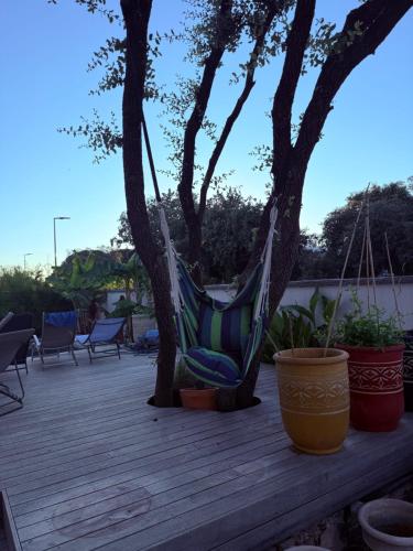 un hamac suspendu à un arbre sur une terrasse dans l'établissement Maison des Bananiers, à Baillargues