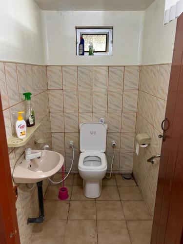 a small bathroom with a toilet and a sink at 288 Jeyamany Villa in Jaffna