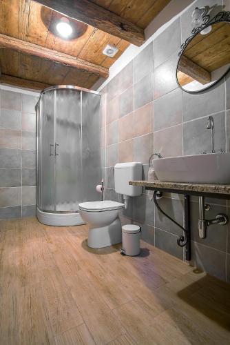 a bathroom with a shower and a toilet and a sink at Pri Bregarju in Podsabotin