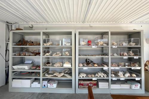 a cabinet filled with shelves filled with lots of stuffed animals at Saga Village Hotel & Resort Bintan in Pulau Sekerah