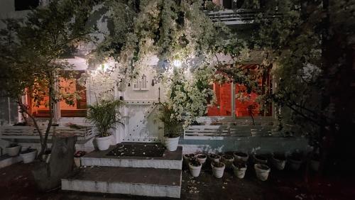 a room with a bunch of potted plants at DM Farms Morni Hills Panchkula in Morni