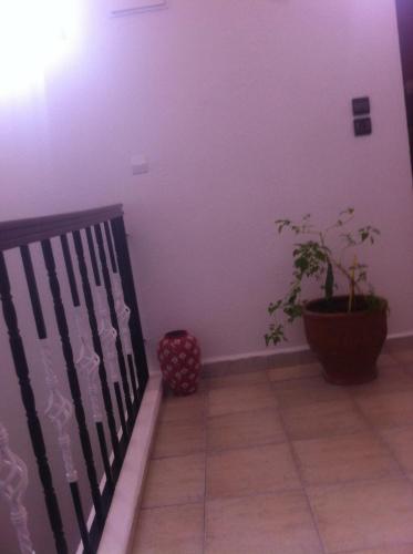 Φωτογραφία από το άλμπουμ του Chez Ali Apartments στην Εσαουίρα