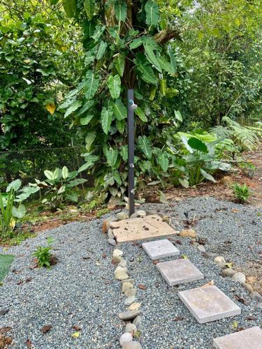 Taman di luar Casa de Bosque con Piscina