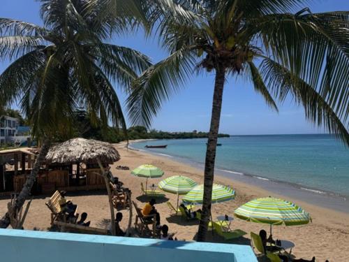 a beach with palm trees and chairs and umbrellas at The Grand Begonia Beach Hotel in Water Valley