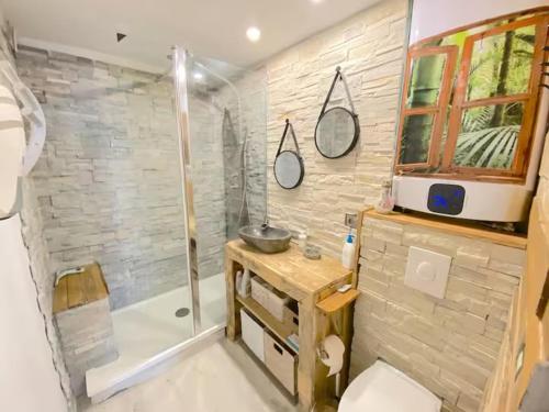 une salle de bain avec une douche, un lavabo et des toilettes dans l'établissement Studio au cœur de jausiers, à La Celle-sous-Gouzon