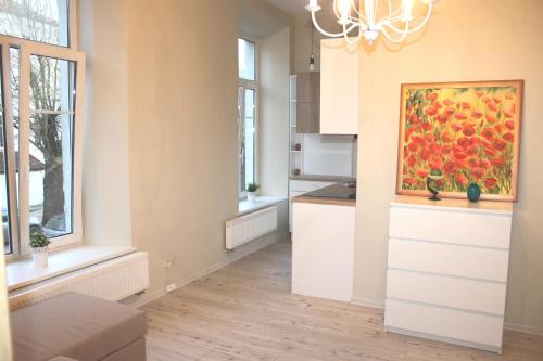 A cozinha ou cozinha compacta de Igo apartment Uzupis