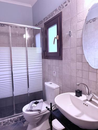 a bathroom with a toilet and a sink and a mirror at Villa Anemos in Potamós