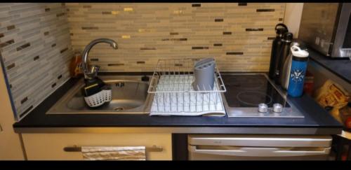 - un évier de cuisine avec un étendoir dans l'établissement rue des roses, à Nice