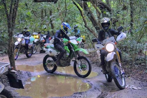 Gallery image of Yala - Kabiliththa Jeep Tour Camping in Kataragama