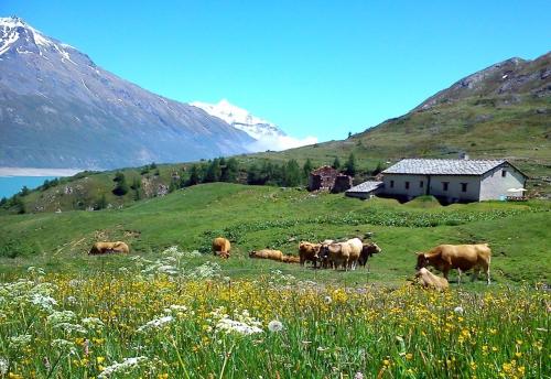 Chalet d'alpage de Savalin à 2000 mètres d'altitude au lac du Mont-Cenis