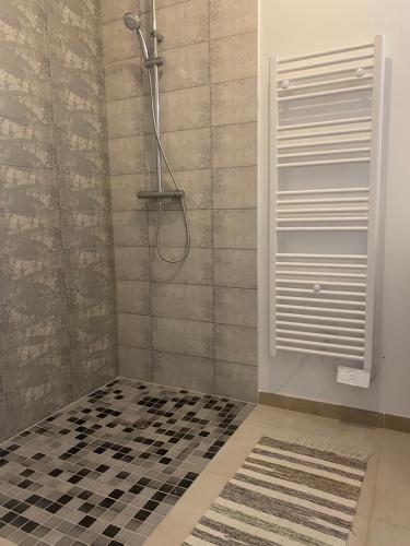a bathroom with a shower with a black and white tiles at La maison dans la prairie fleurie, espace et calme in Saint-Avit-Sénieur