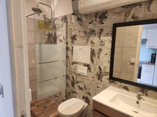 une salle de bain avec toilettes, lavabo et miroir dans l'établissement Studio calme, à Saint-Étienne