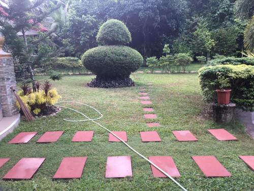 a garden with pink stepping stones on the grass at Camiguin Lanzones Resort in Mambajao
