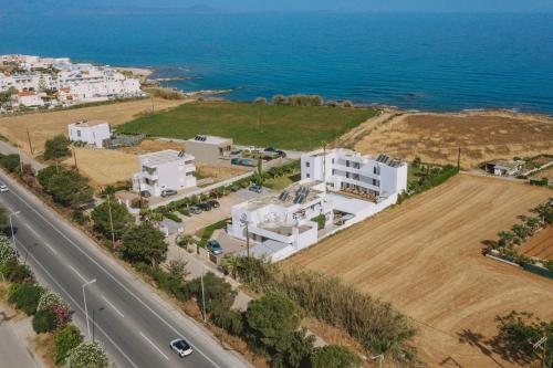 an aerial view of a building next to the ocean at Aegean View Hotel in Sfakaki