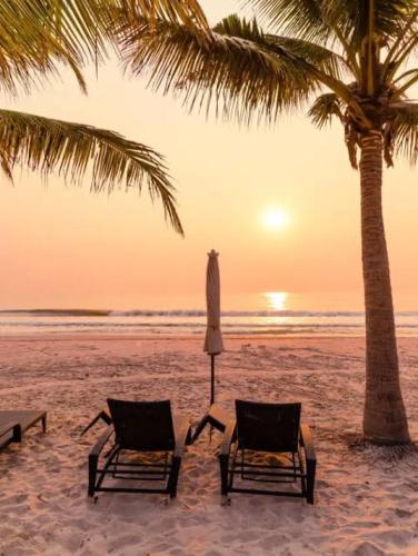 two chairs and an umbrella on a beach with a palm tree at Calangute Sea Avenue in Calangute