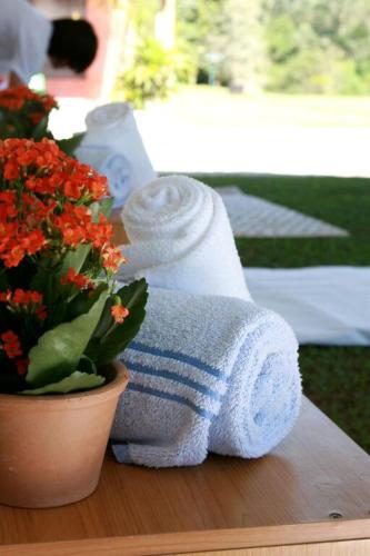 a pile of towels next to a potted plant at Hotel Terras Altas in Itapecerica da Serra