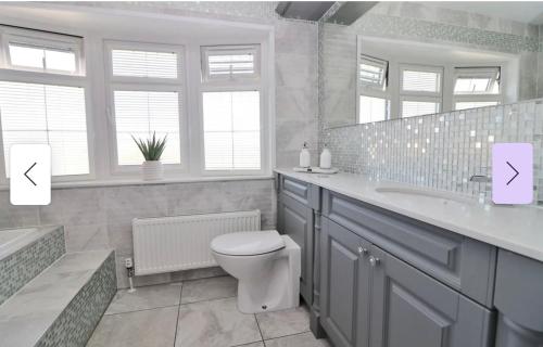 a bathroom with a toilet and a sink and a mirror at Luxury Lodge Escapes in Netley