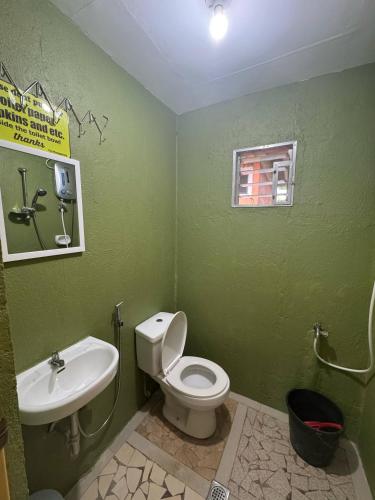 a green bathroom with a toilet and a sink at Stefanie Grace Paradise Inn in Loboc