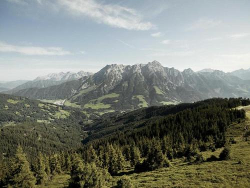 a view of a mountain range with trees at Apartment in Leogang near Ski Slopes in Leogang