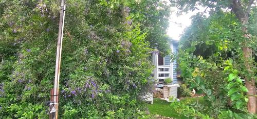 a garden with trees and purple flowers in front of a house at Villa Romantica in Ani'am