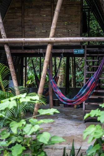 a hammock in a building with trees at Eco Hostel RENASE in Leticia