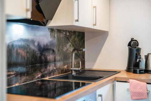 Dapur atau dapur kecil di Josenhof