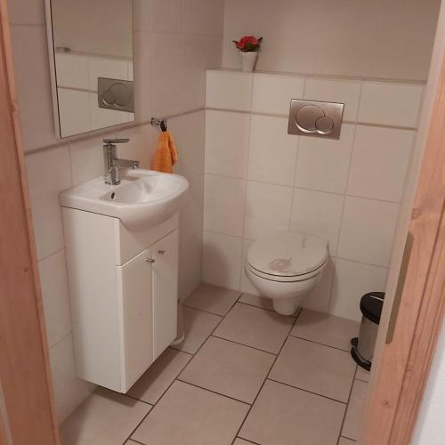 a bathroom with a sink and a toilet at Eifelhaus in Niederdorla