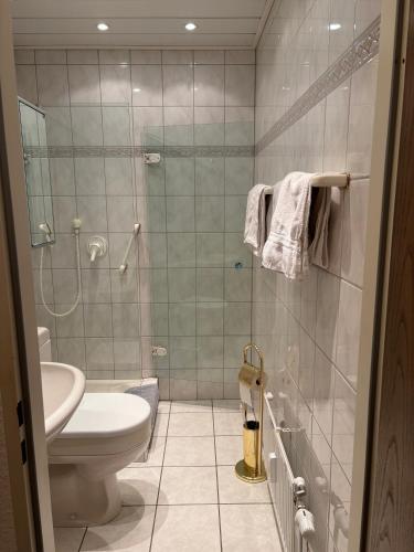 a bathroom with a toilet and a glass shower at Ferienwohnungen im Taunusblick in Lahnstein