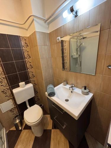 a bathroom with a sink and a toilet and a mirror at Balian apartman in Siófok