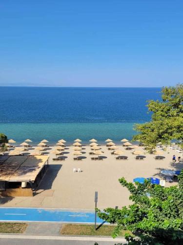 Landskap semula jadi dekat dengan hotel