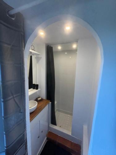 une salle de bain avec une douche, un lavabo et un miroir dans l'établissement Studio terrasse, à Villecroze